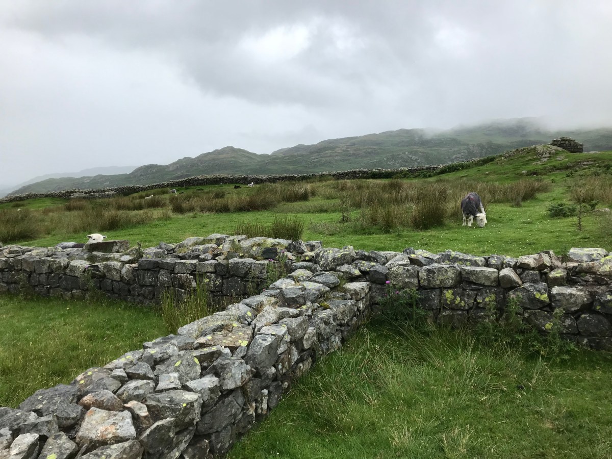 Hardknott Roman Fort